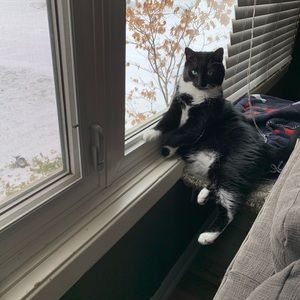 Meet your Posher, Christa